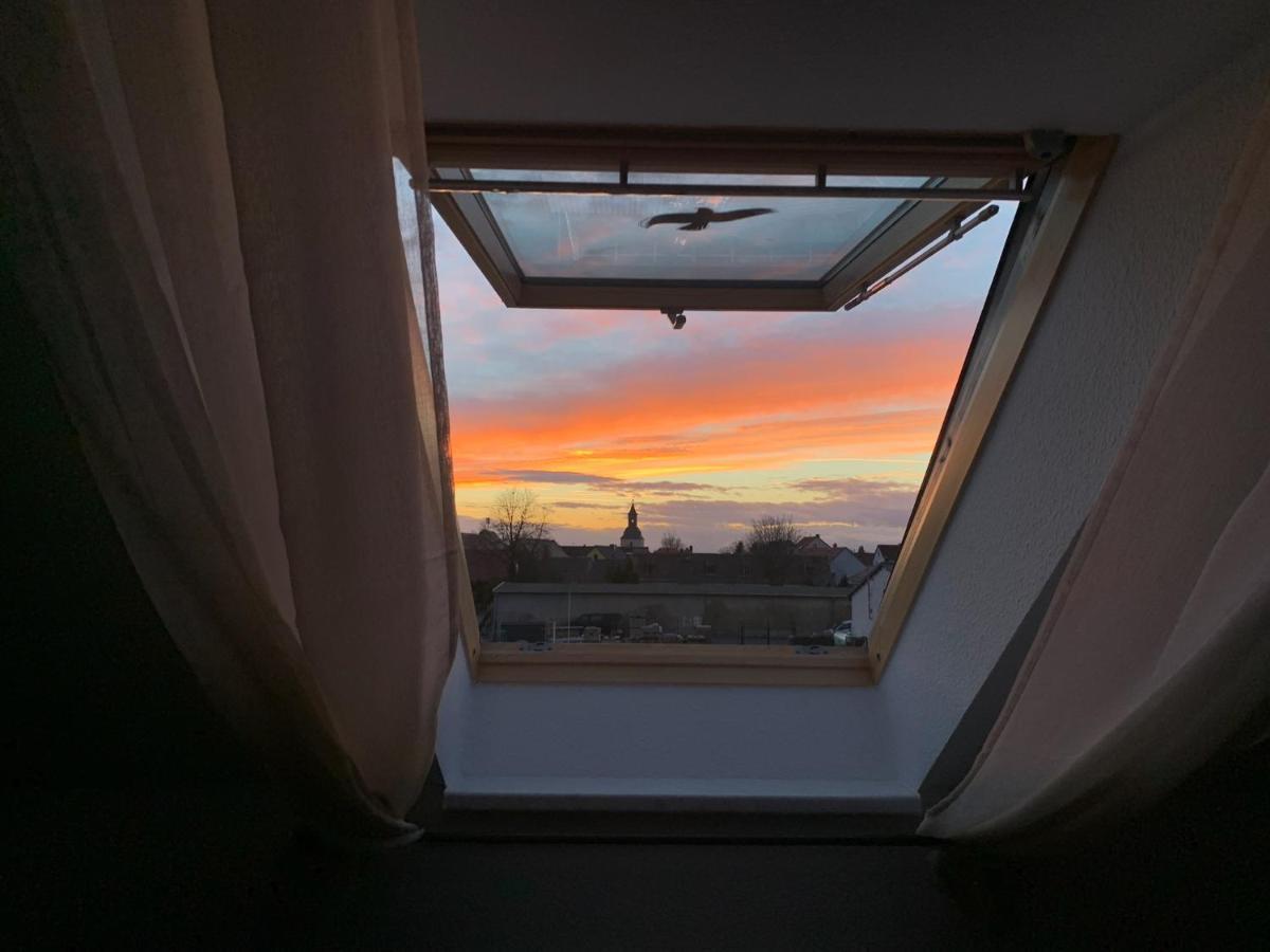 Ferienwohnung Oelzschau - Urlaub Im Leipziger Neuseenland Rötha Kültér fotó
